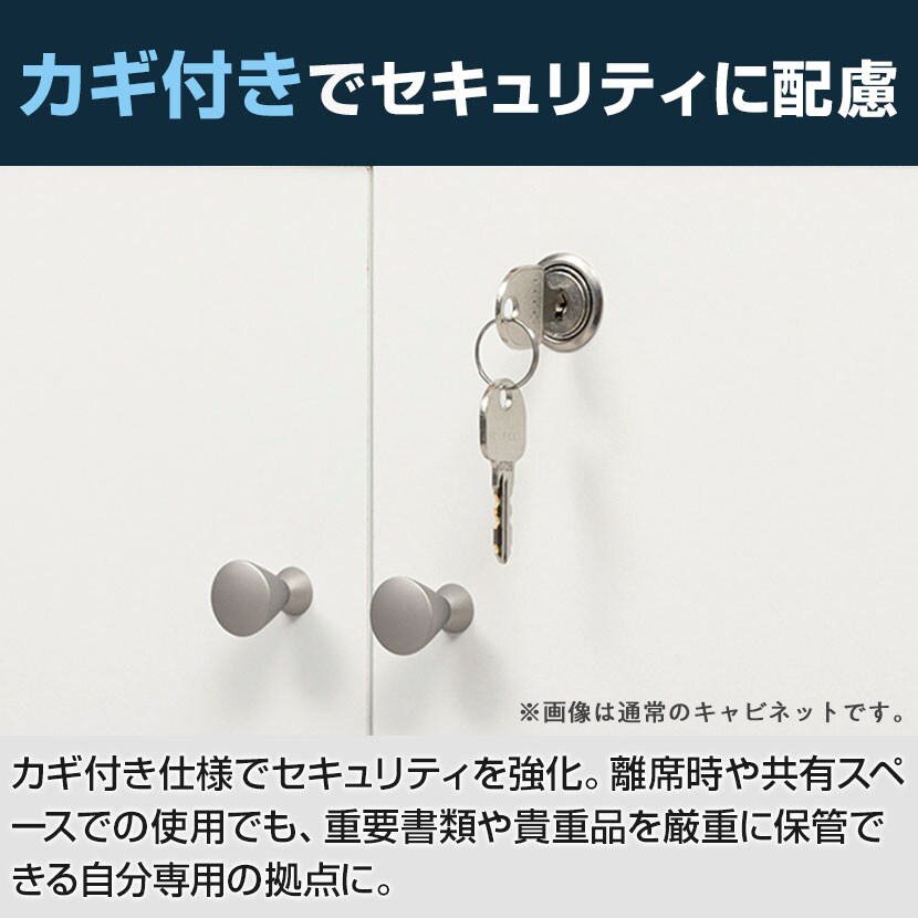送料無料】 両面シェアキャビネット 収納棚 可動棚付き 木製 鍵付き扉