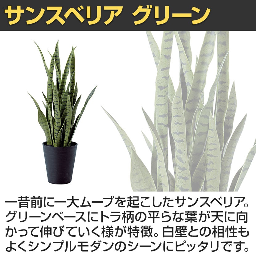 ririn☆様　レア　高品質　グリーンゼブラジャスパー　スフィア　タンザニア産 ririn☆様 レア 高品質 グリーンゼブラジャスパー スフィア タンザニア