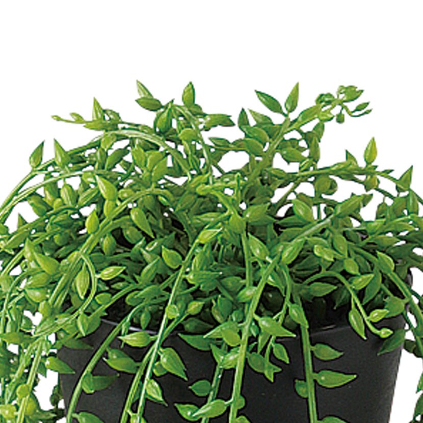 送料無料】 観葉植物 人工樹木 フェイクグリーン 造花 グリーン