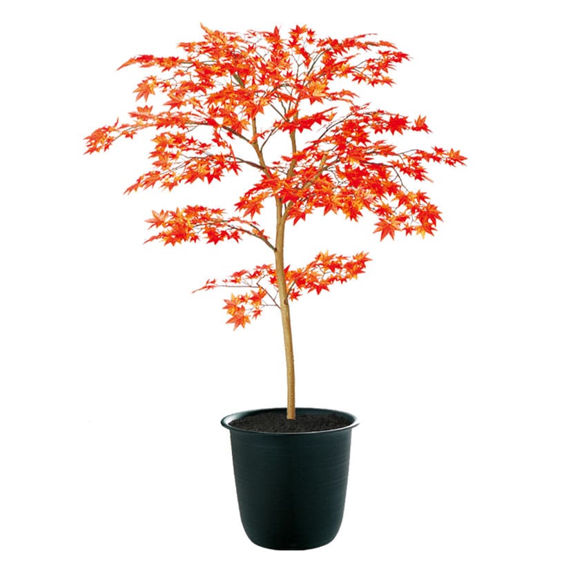 人工観葉・フェイクグリーン 光触媒 人工観葉植物 フェイクグリーン