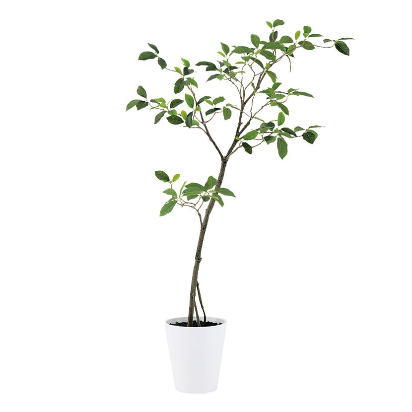 送料無料】 観葉植物 人工樹木 フェイクグリーン 造花