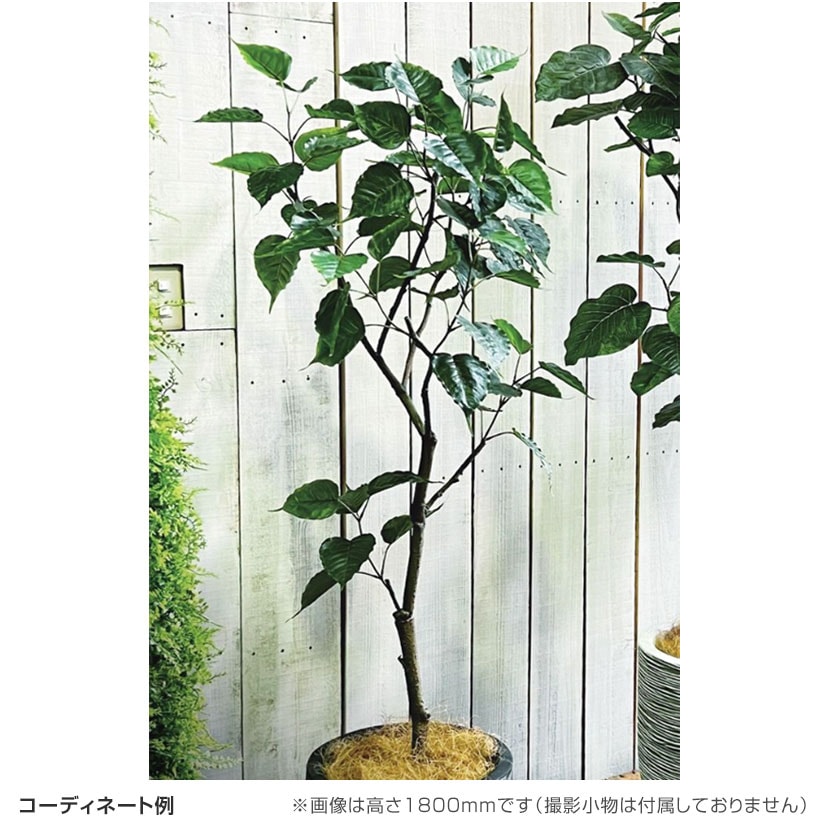 光触媒 人工観葉植物 ウォールグリーン フェイクグリーン インド