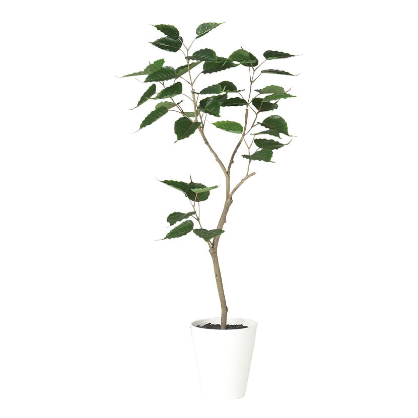送料無料】 観葉植物 人工樹木 フェイクグリーン 造花 インド
