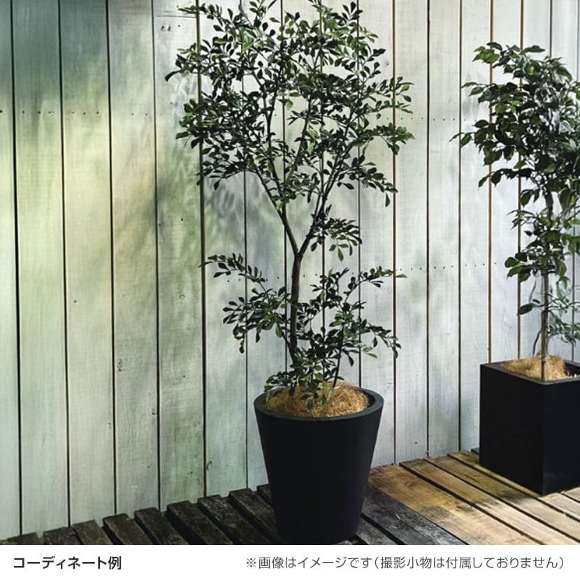 送料無料】 観葉植物 人工樹木 フェイクグリーン 造花 トネリコ FST 高
