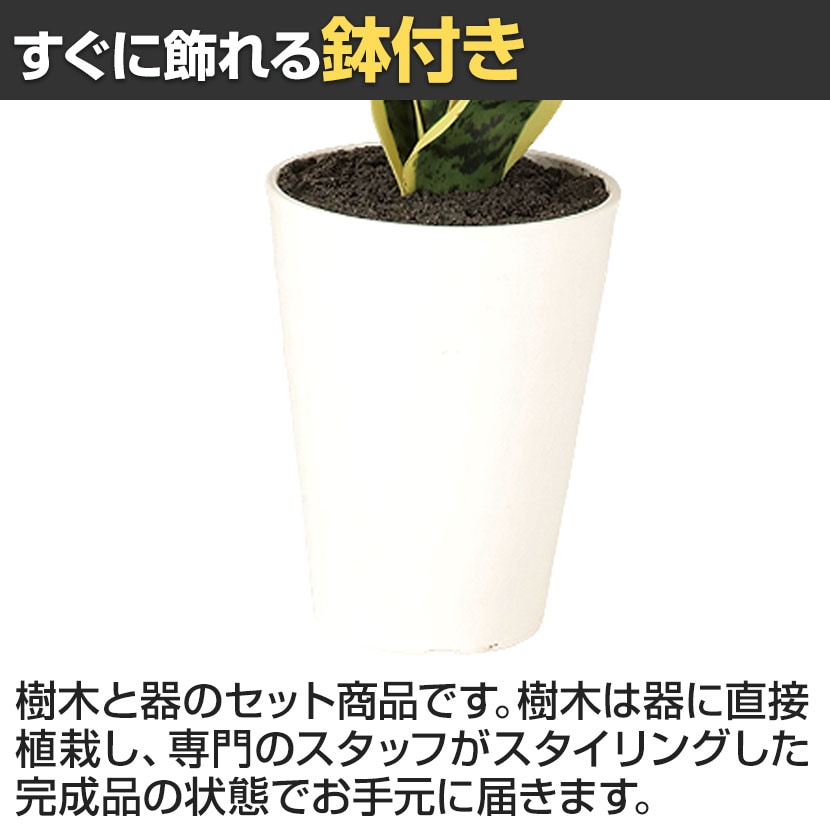 送料無料】 観葉植物 人工樹木 フェイクグリーン 造花 サンスベリア 高