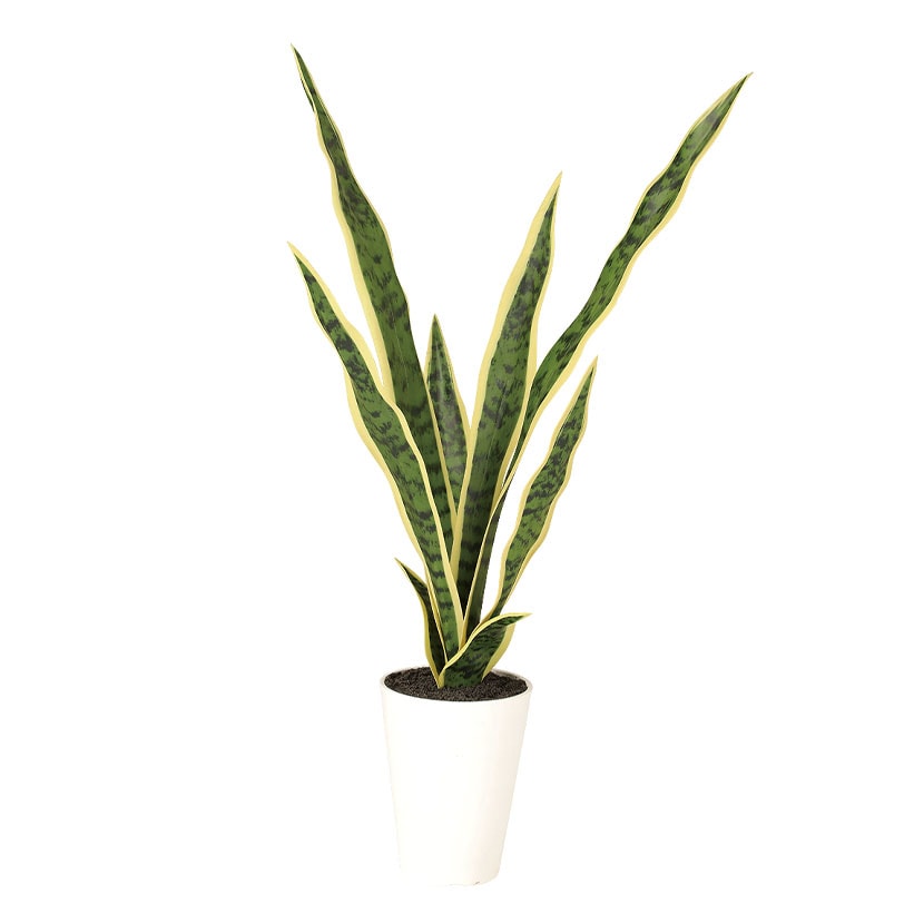 送料無料】 観葉植物 人工樹木 フェイクグリーン 造花 サンスベリア 高