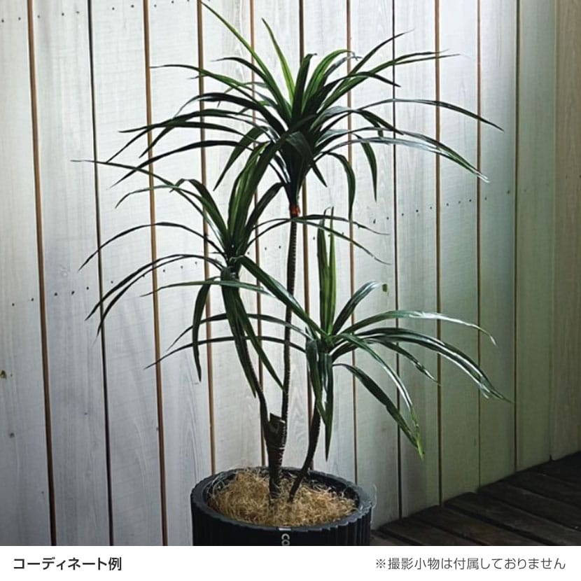 送料無料】 観葉植物 人工樹木 フェイクグリーン 造花 コンシンネ 高さ