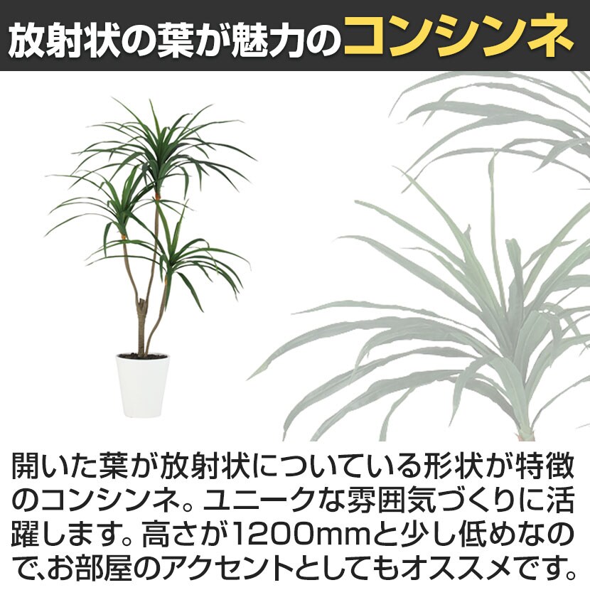 送料無料】 観葉植物 人工樹木 フェイクグリーン 造花 コンシンネ 高さ