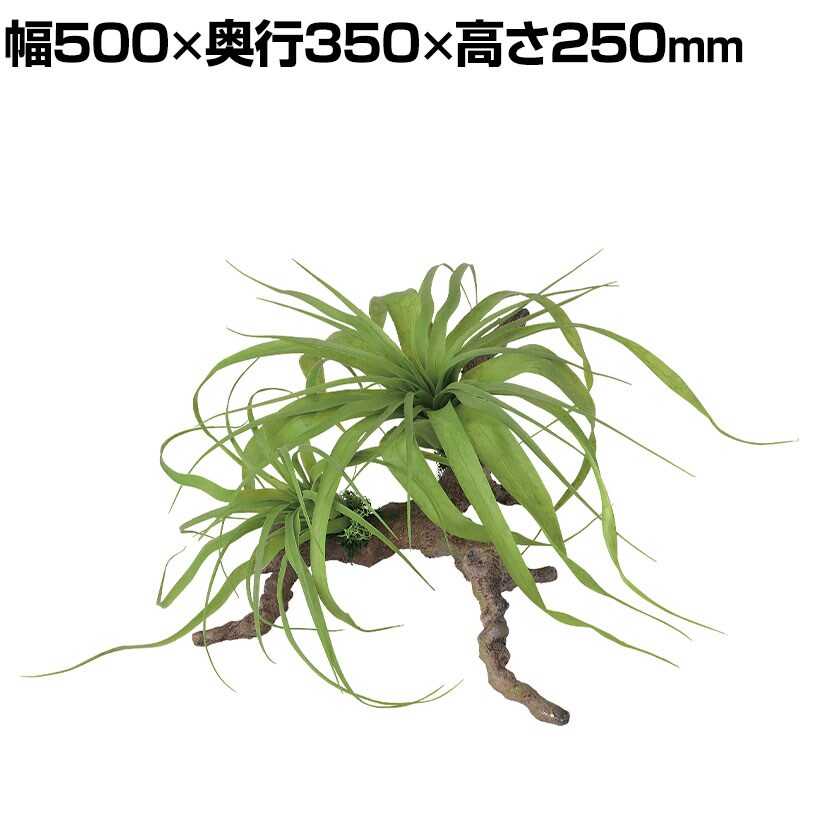 送料無料】 観葉植物 人工樹木 フェイクグリーン 造花 チランジア