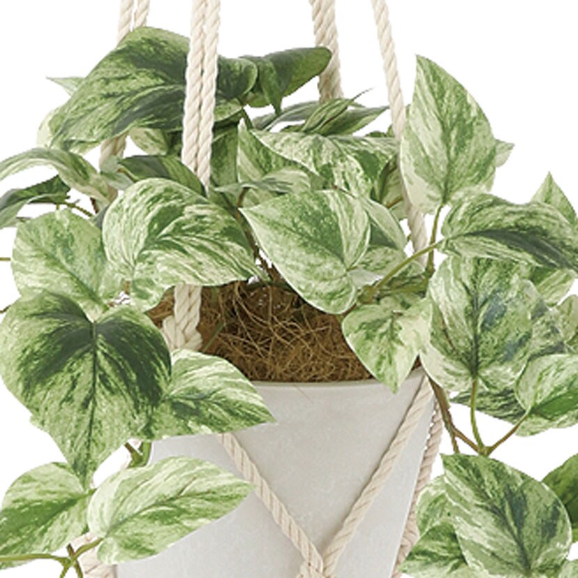 送料無料】 観葉植物 人工樹木 フェイクグリーン 造花 マーブルポトス