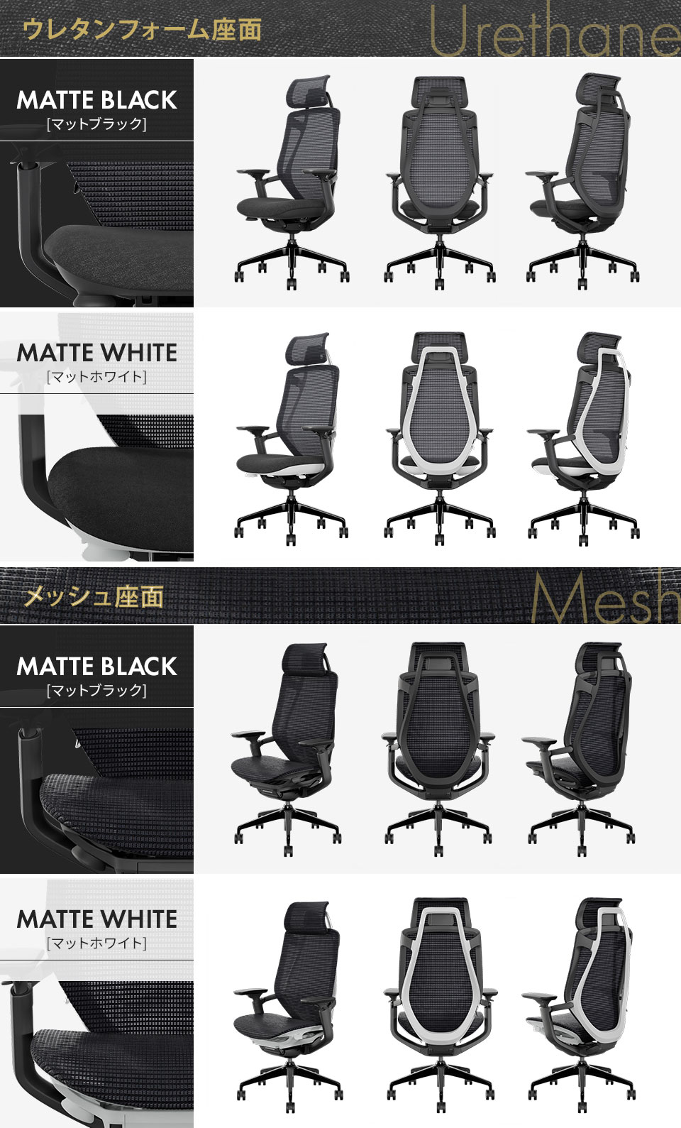 WL-ACPH バリエーション1